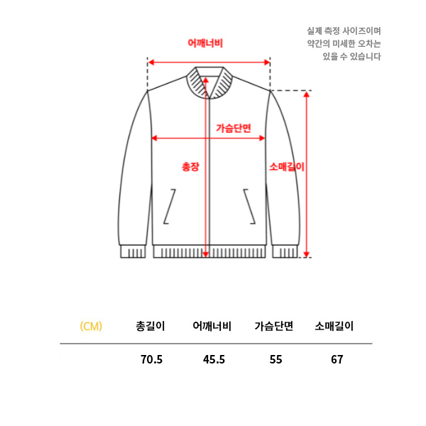 나이키 / 르브론 LBJ 디스트로이어 자켓, 바시티, 스타장 (L)