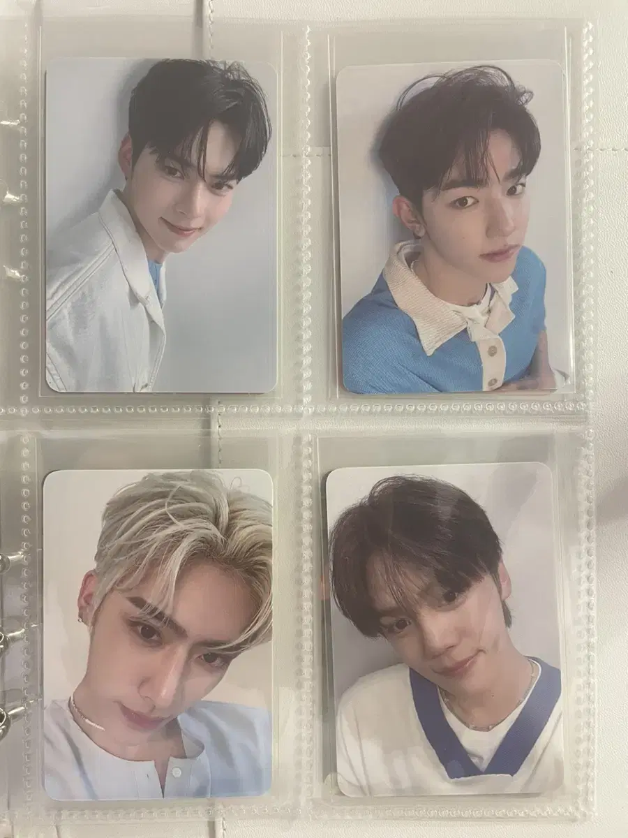 BringGreen zb1 photocard bulk wts StrawPick