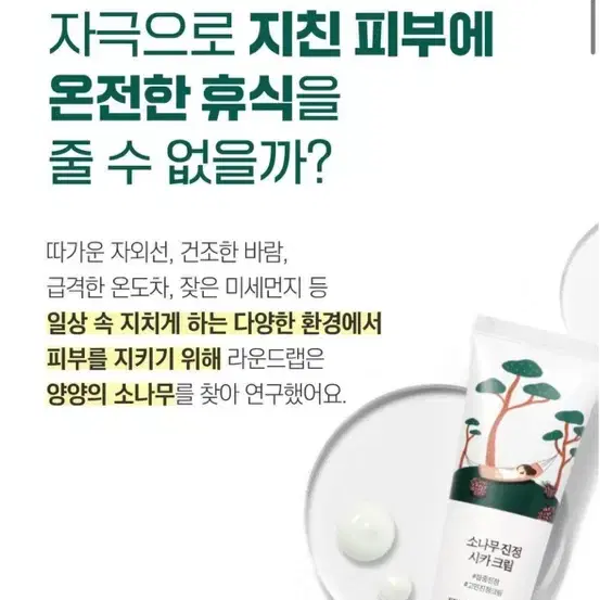 (새상품) 라운드랩 소나무 진정 시카 크림 50ml +10ml 추가 증정