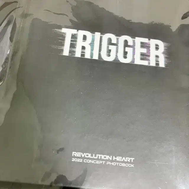 [레볼루션 하트] 흰 눈이 내려와' TRIGGER 포토북