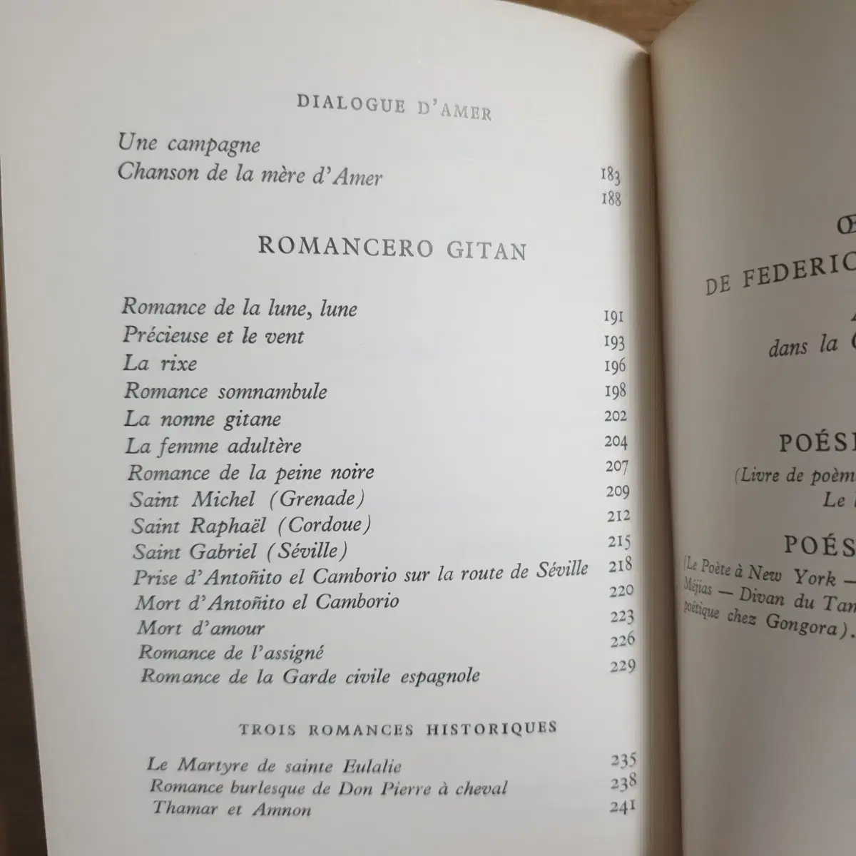 Federico Garcia Lorca 페데리코 가르시아 로르카 시집 책