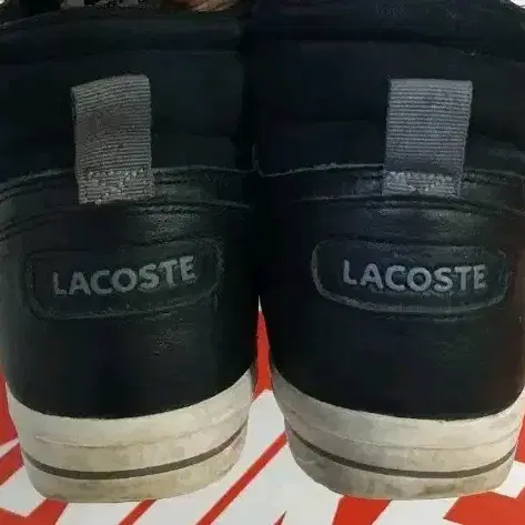 LACOSTE 라코스테 스니커즈 255mm