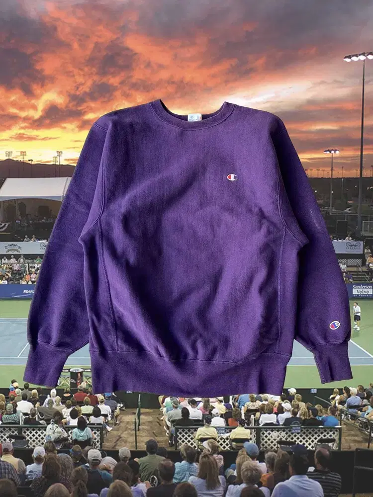 90s Champion Reverse Weave Sweatshirt Purple