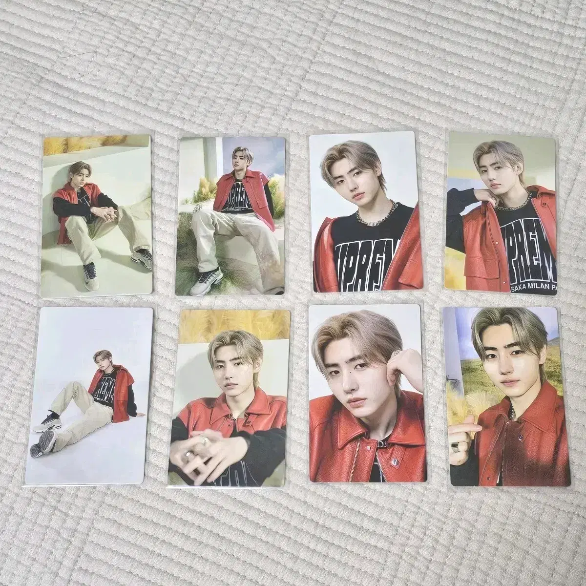 Enhypen Manifesto tc sunghoon photocard bulk WTS