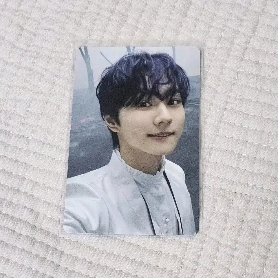 enhypen jungwon flash senkou photocard wts