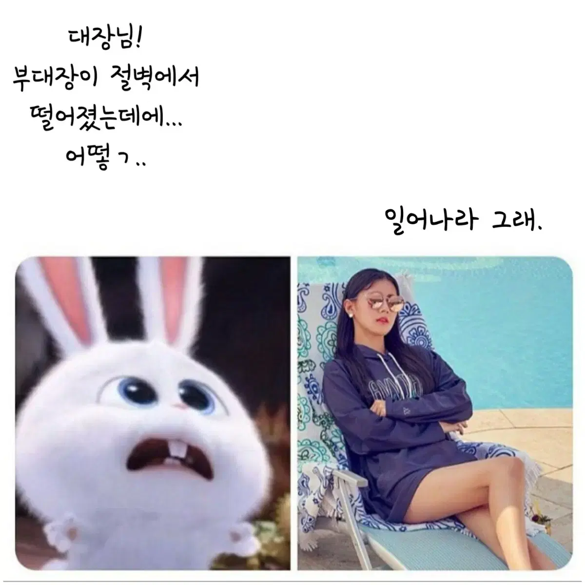 바인더 대지 무나 받아요