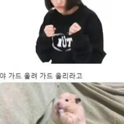 바인더 대지 무나 받아요