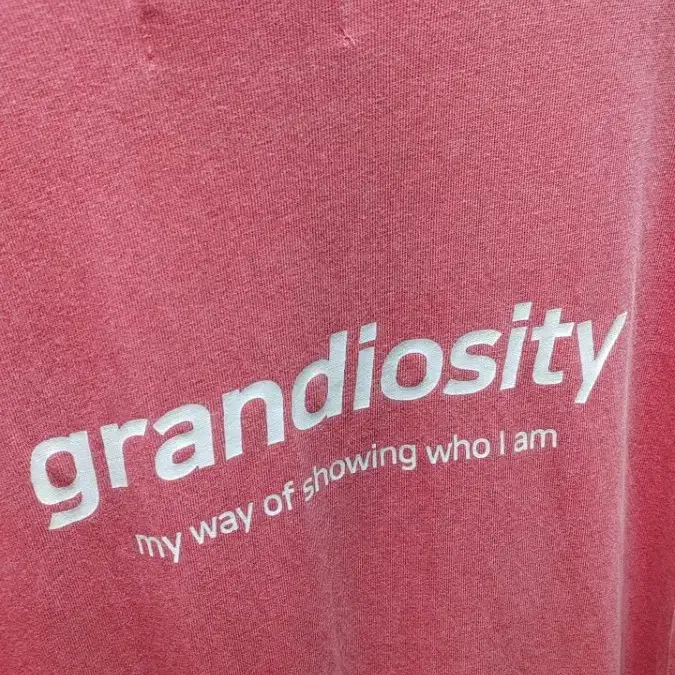 grandiosity 그랜디오시티