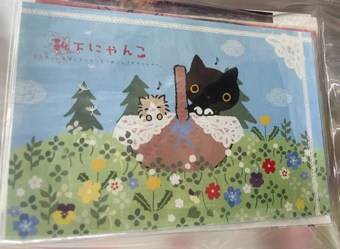 [Old Japanese phrase] kutsushita nyanko postcard (san rio) sock cat