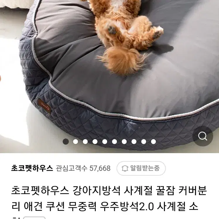 초코펫 강아지 쿠션 일반형