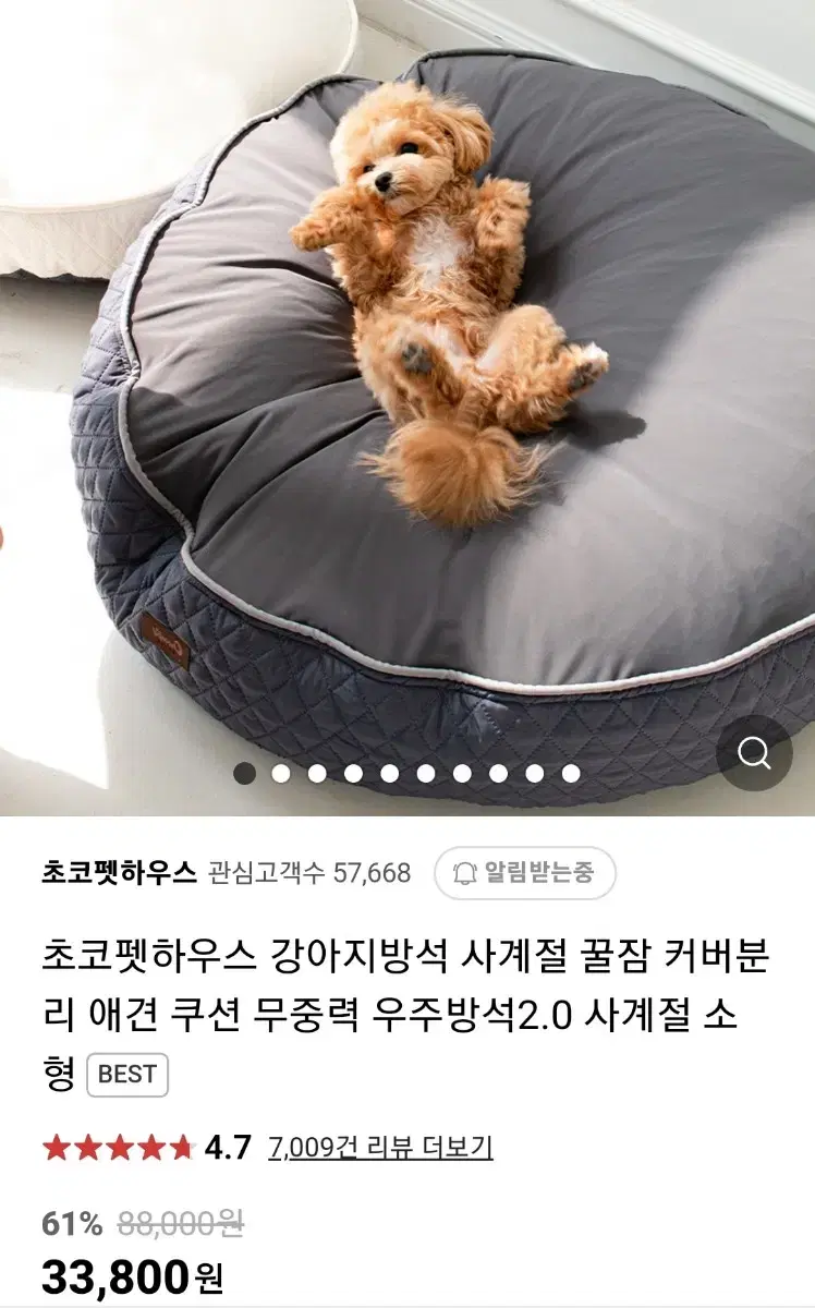 초코펫 강아지 쿠션 일반형