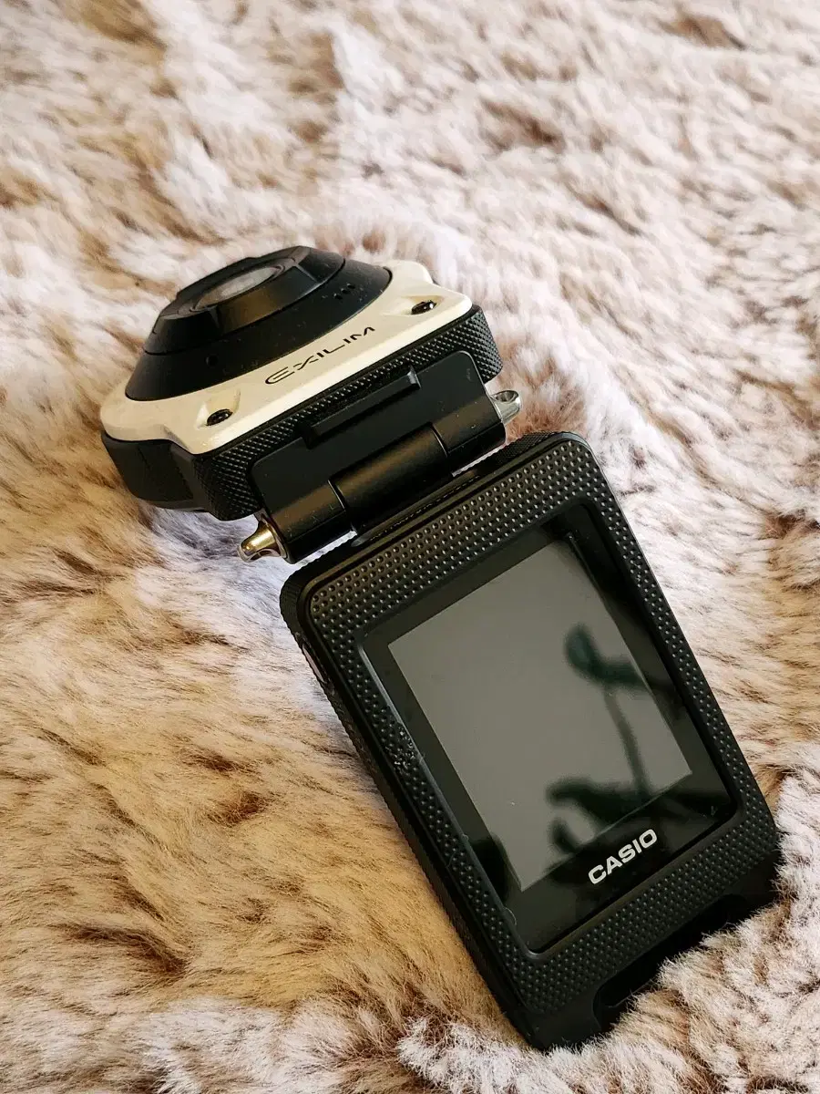 카시오 카메라 CASIO EX-FR10CT Digital Camera