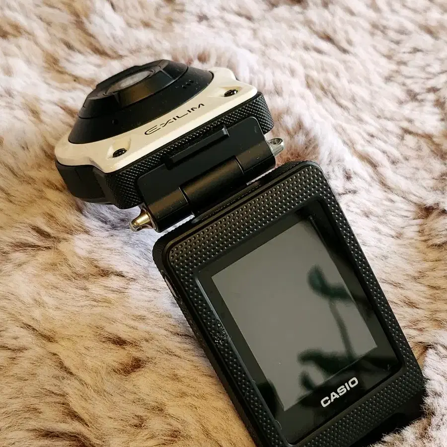 카시오 카메라 CASIO EX-FR10CT Digital Camera