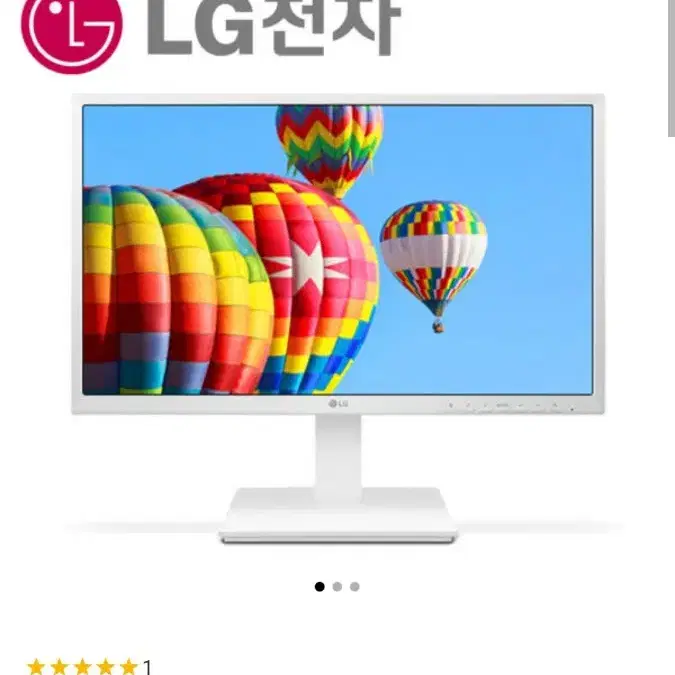 LG 모니터