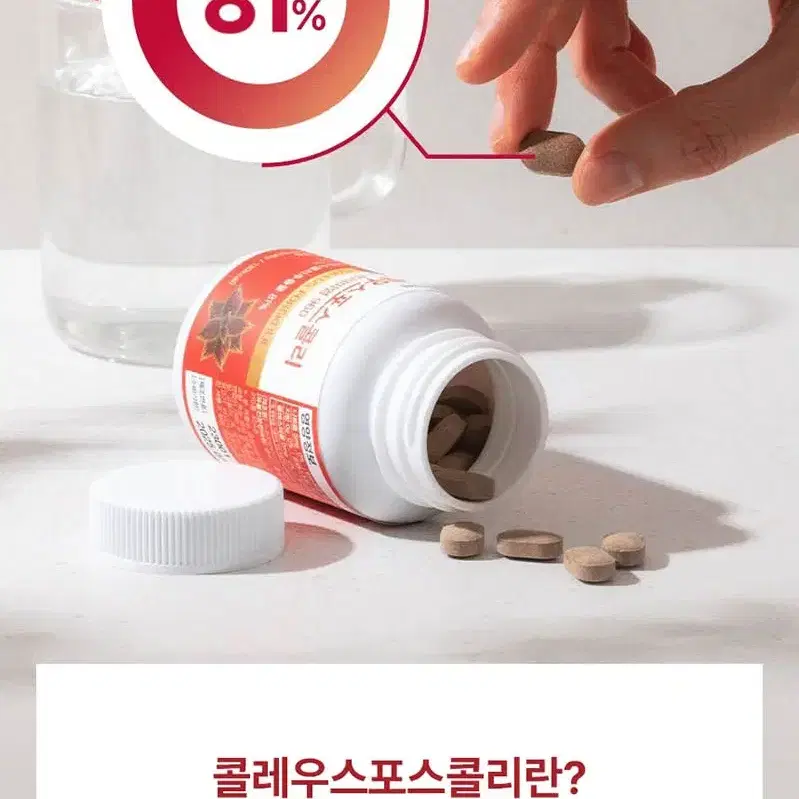 (1+1) 콜레우스포스콜리 81% 고함량 Premium 960 다이어트