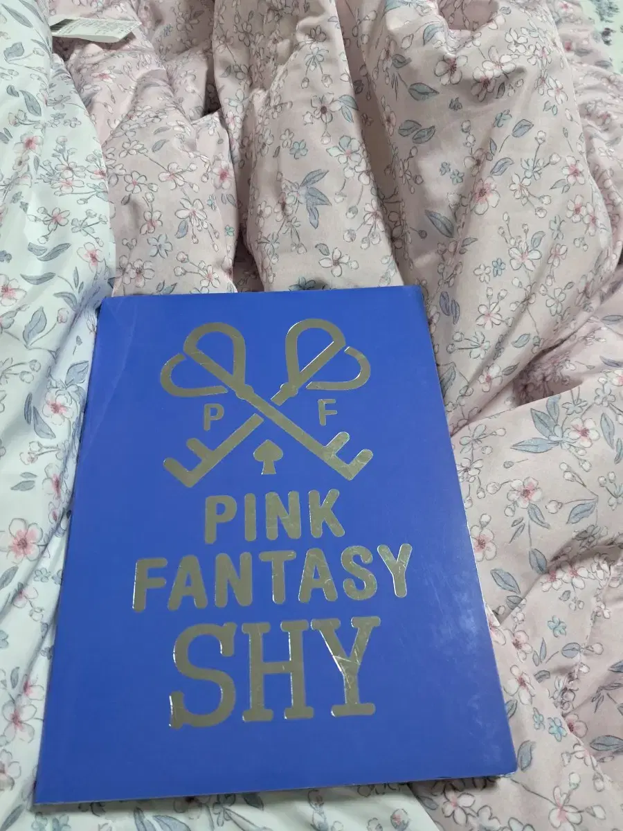 Pink Fantasy SHY Album