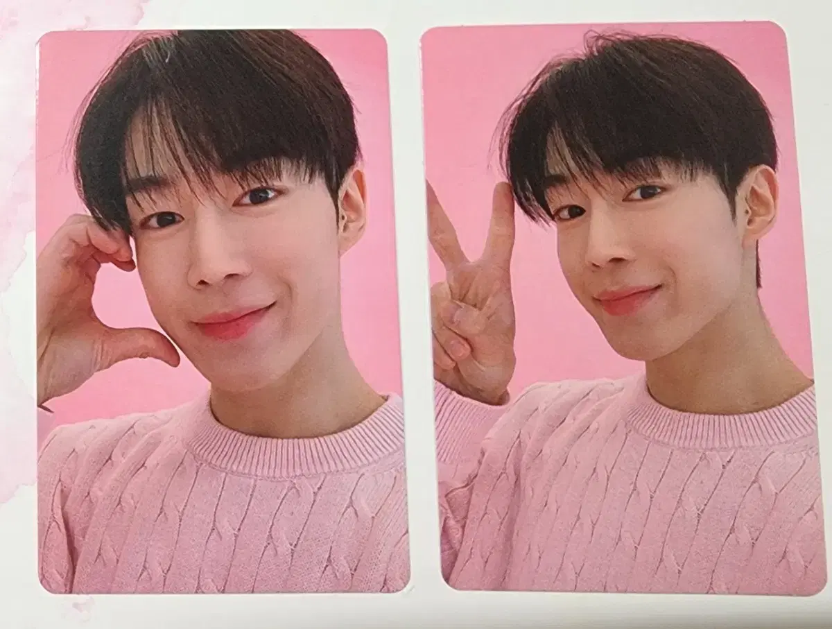 SF9 dawon photocard Set