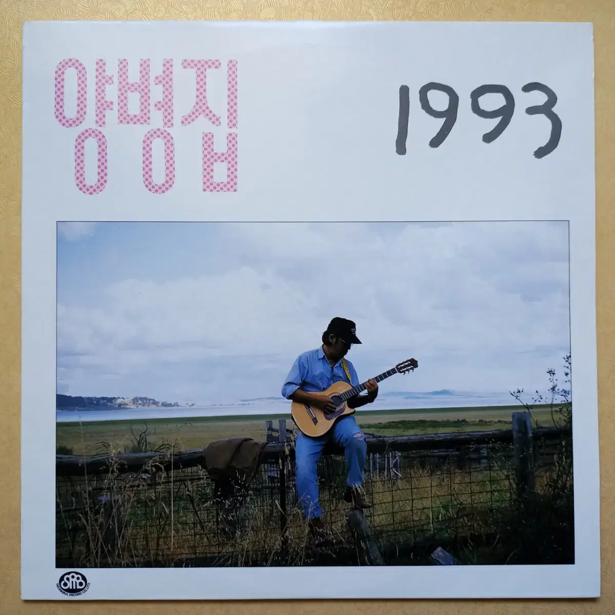 양병집 1993 lp