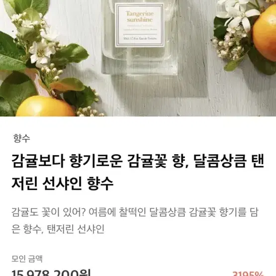 텀블벅 아로 탠저린 선샤인