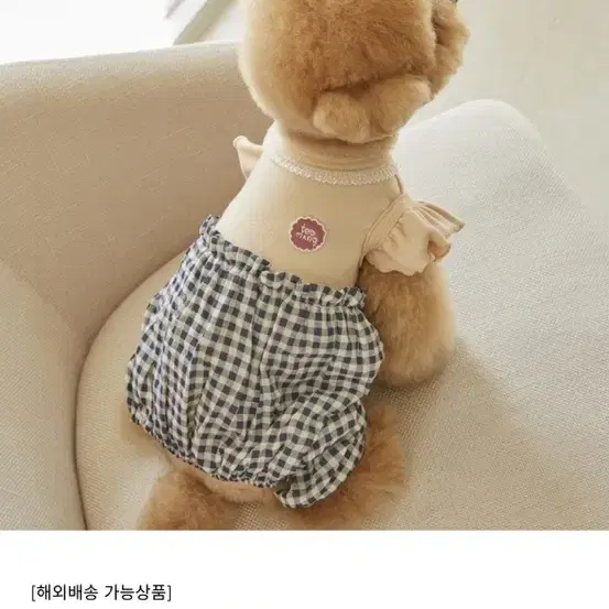 떼아몽 윙 체크 올인원 L