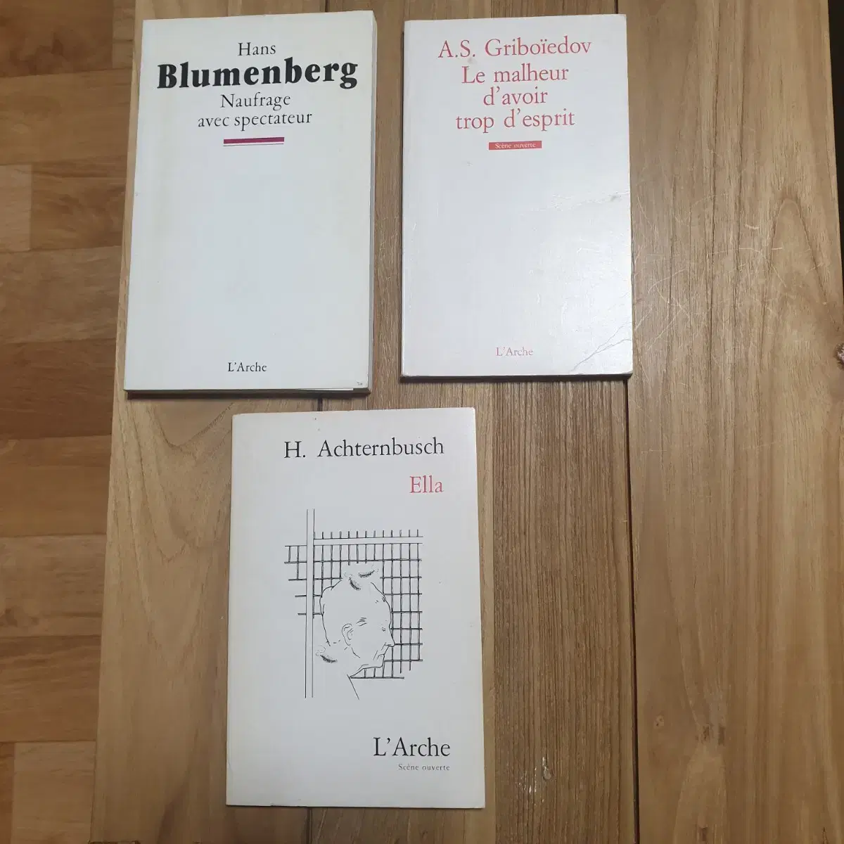 현대희곡Blumenberg Gruboiedov Achternbusch 책