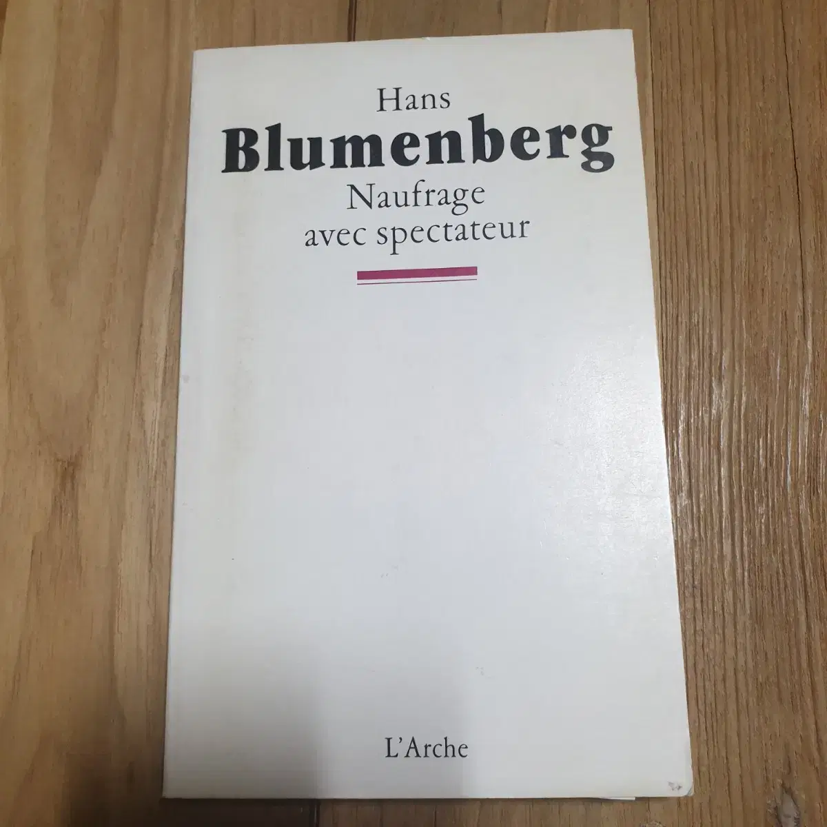 현대희곡Blumenberg Gruboiedov Achternbusch 책