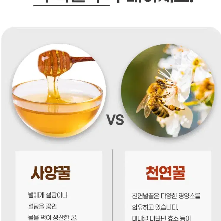 청밀당 꿀몬트 베트남 천연 꿀 700g 주문시 제조 발송