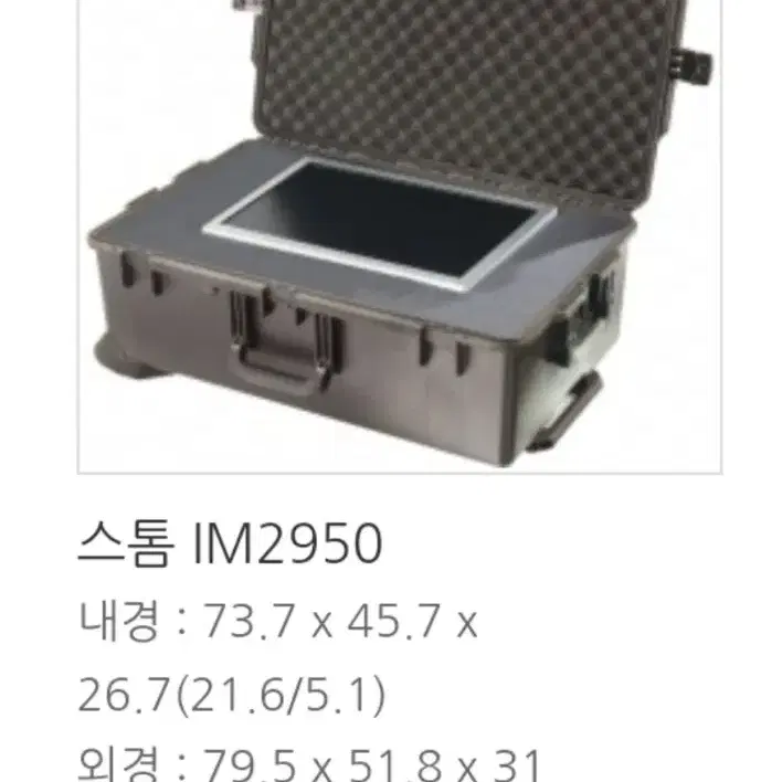 펠리칸 스톰케이스 IM2950