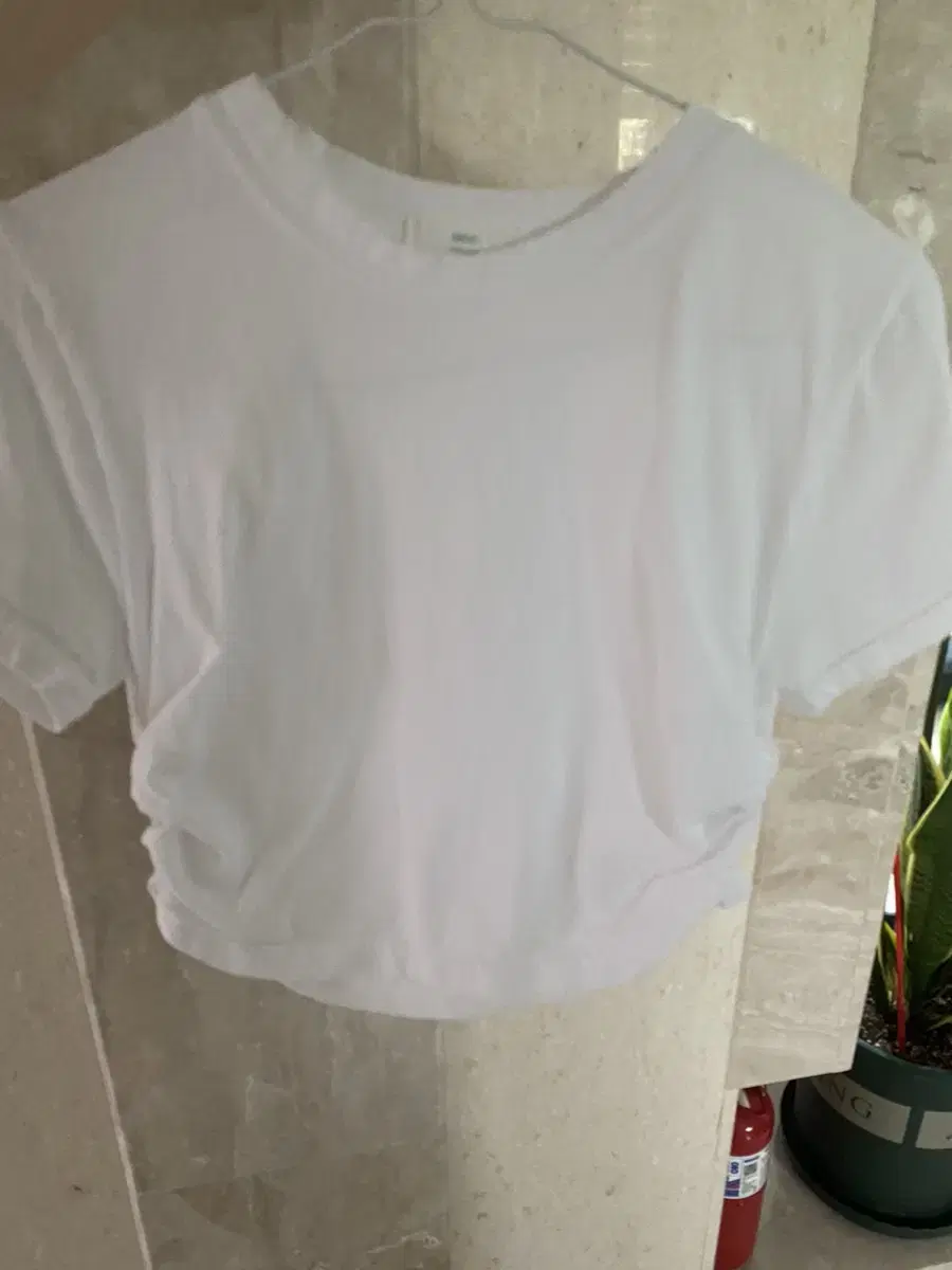 Basic Cropped Vahn Tee