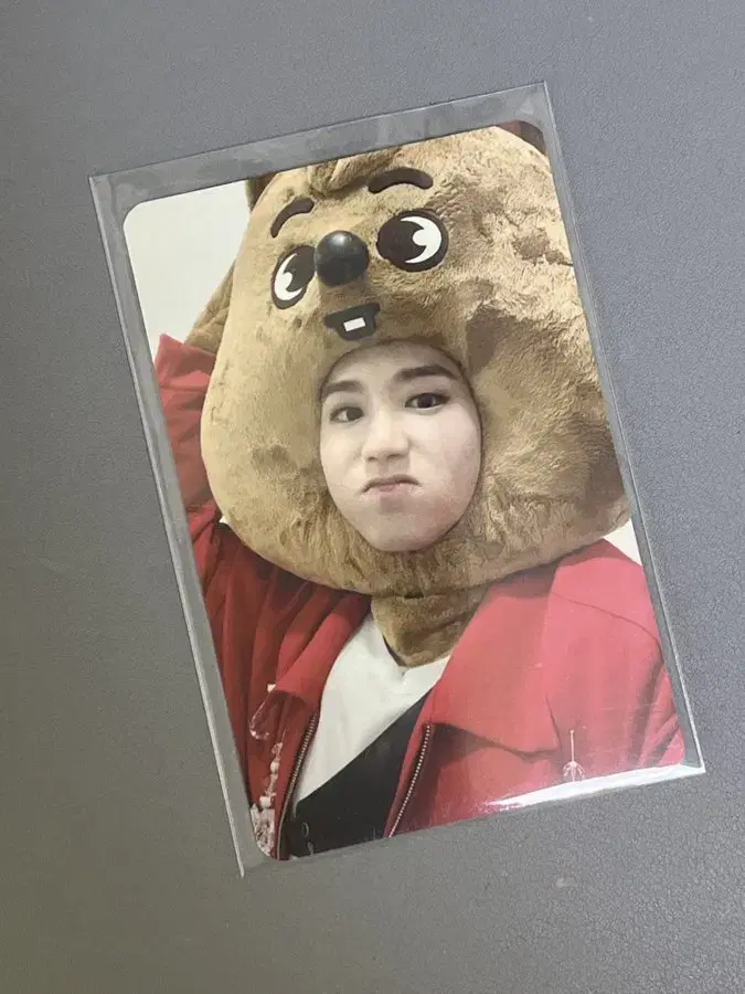 skz noiji soundwave skzoo han hanquica unreleased photocard wts