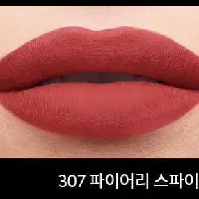 입생로랄 더 슬림 벨벳 307호 로즈칠리