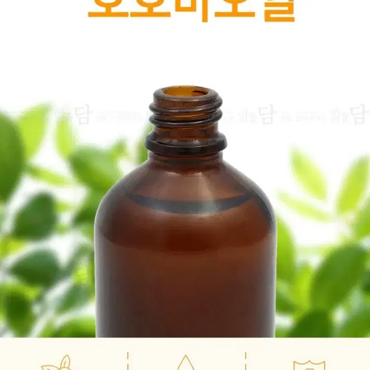 호호바 오일 100ml