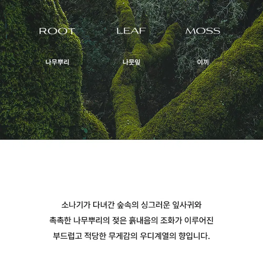 [무배/리르콤마] 블랙 도자기 디퓨저 세트 / 실내 오브제 집들이 선물