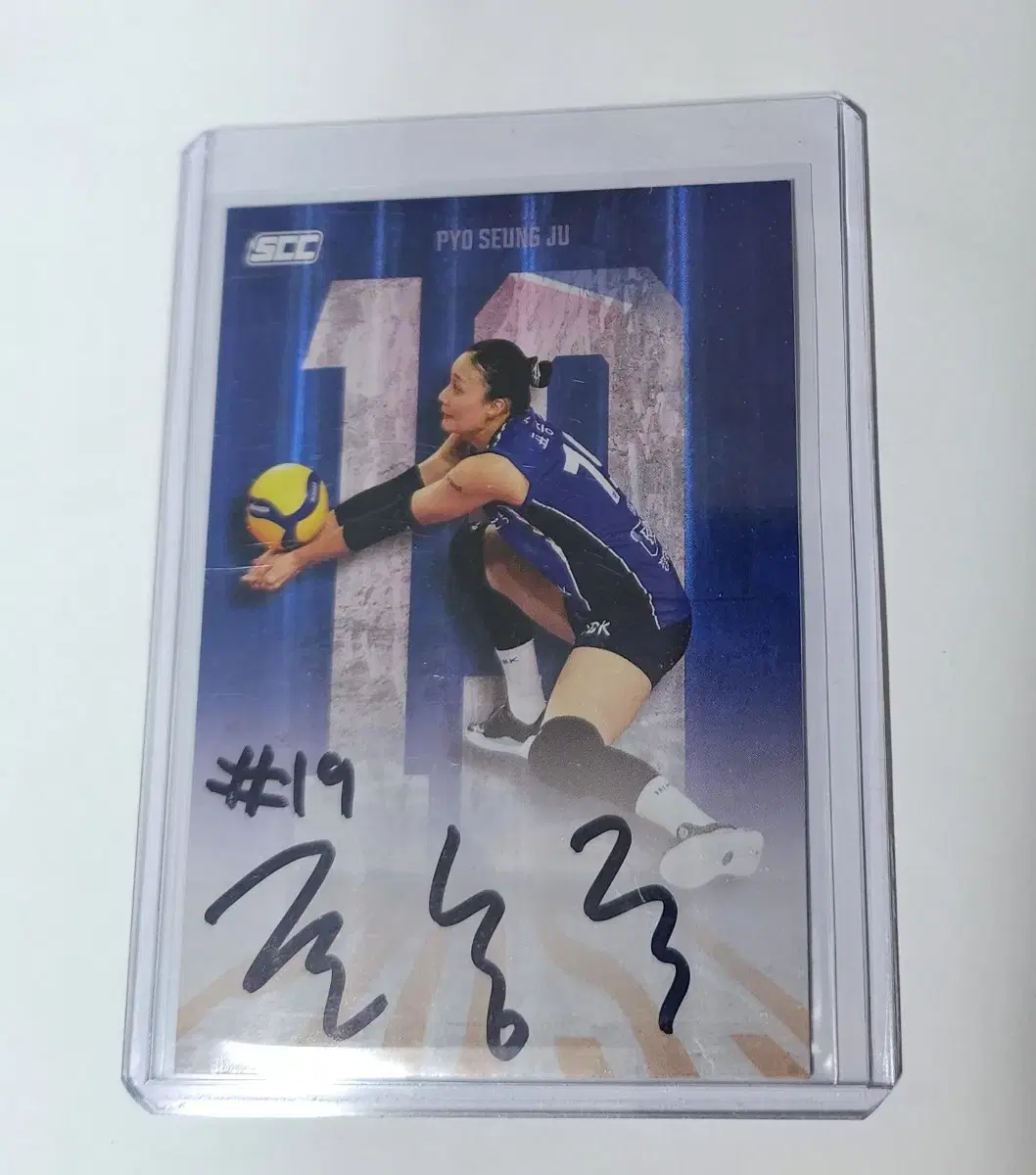 Pyo Seung-ju Onoto Volleyball Kard