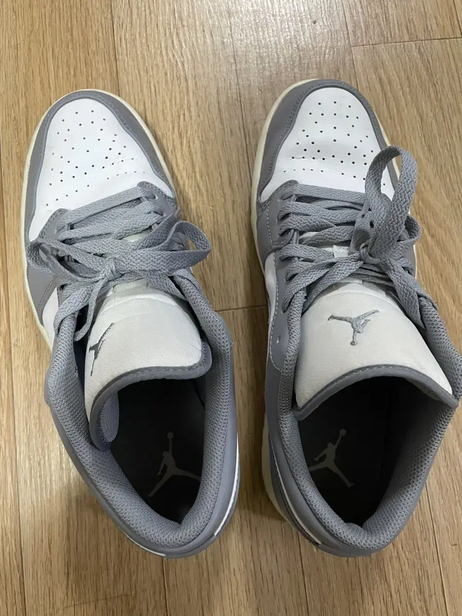 Nike Jordan Stealth and White