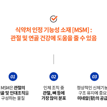 엔젯오리진 MSM 조인트케어 맥스 + 비타민D