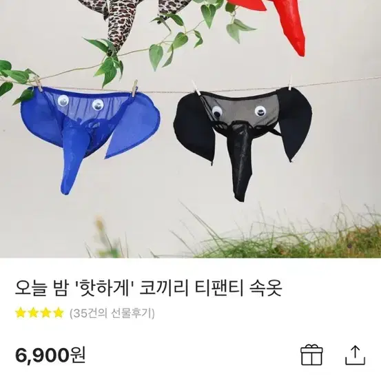 코끼리 티팬티