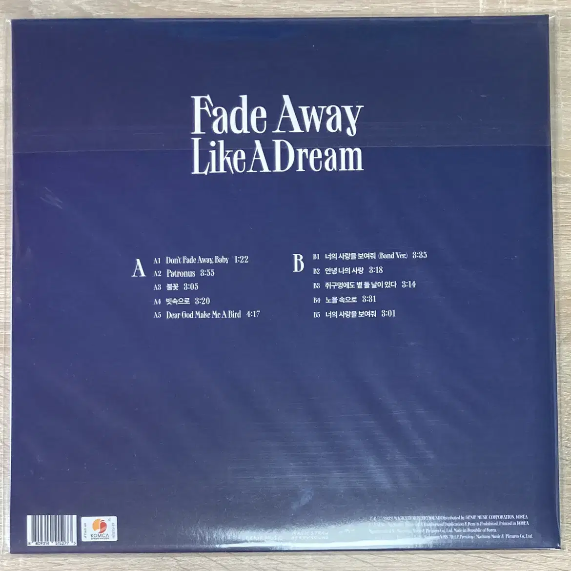 이루리 - Fade Away Like A Dream 미개봉 LP 판매