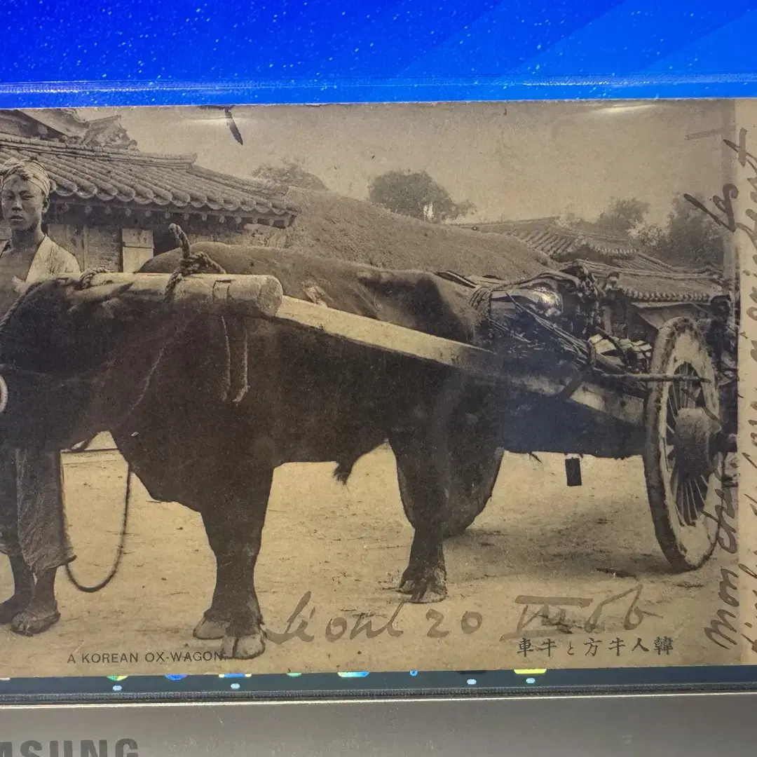 1906년 3월 - 서울 발송 - 벨기에 행 - 한국 황소 수레 사진