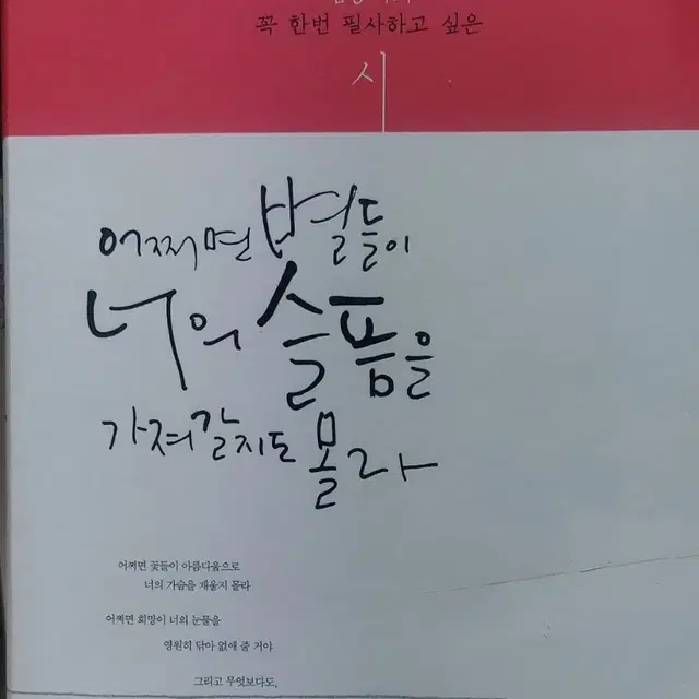 어쩌면 별들이 너의 슬픔을 가져갈지도 몰라