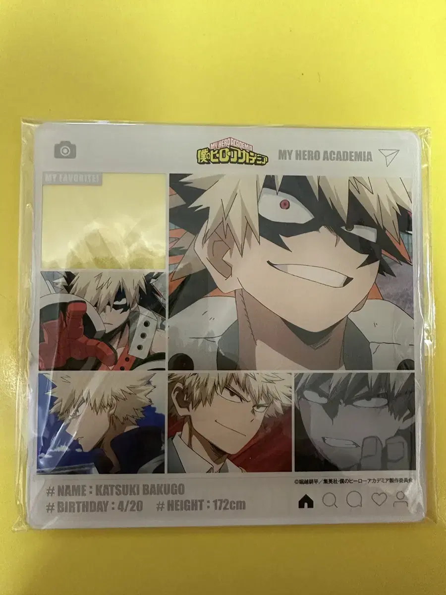 Hiroaka Bakugo Instagram Acrylics