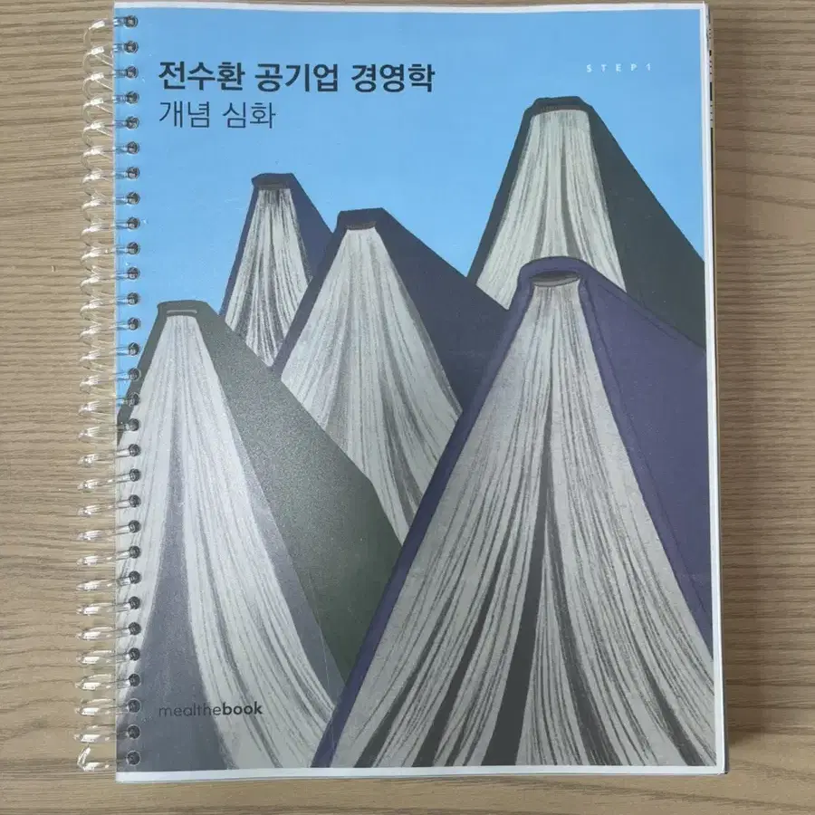 전수환 공기업 경영학 개념 심화