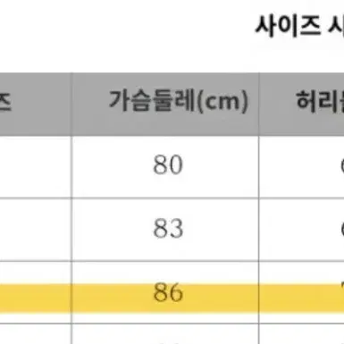 신데렐라 드레스 대여 졸업사진 컨셉