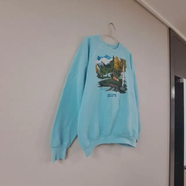 90's U.S.A. FRUIT OF THE ROOM SWEATSHIRT