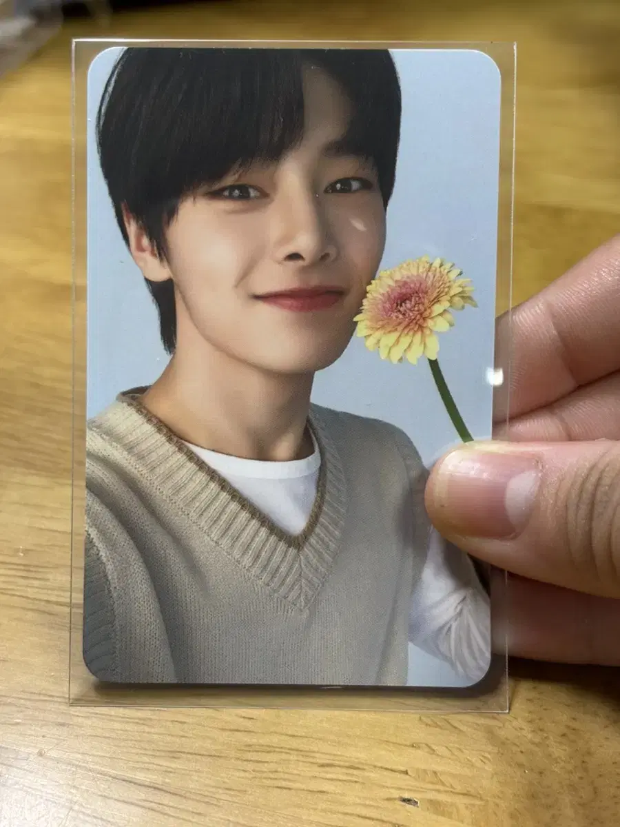 Pacific 9th i.n yang jeongin Jungin skz photocard