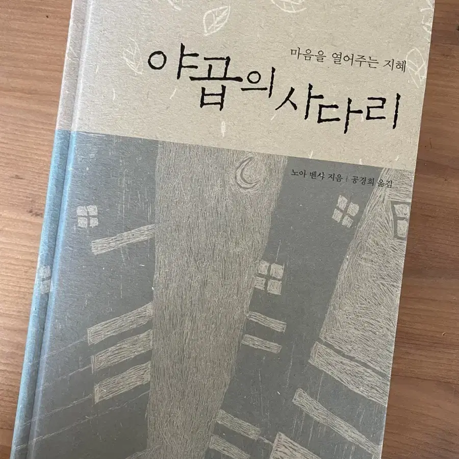 야곱의 사다리- 노아 벤샤