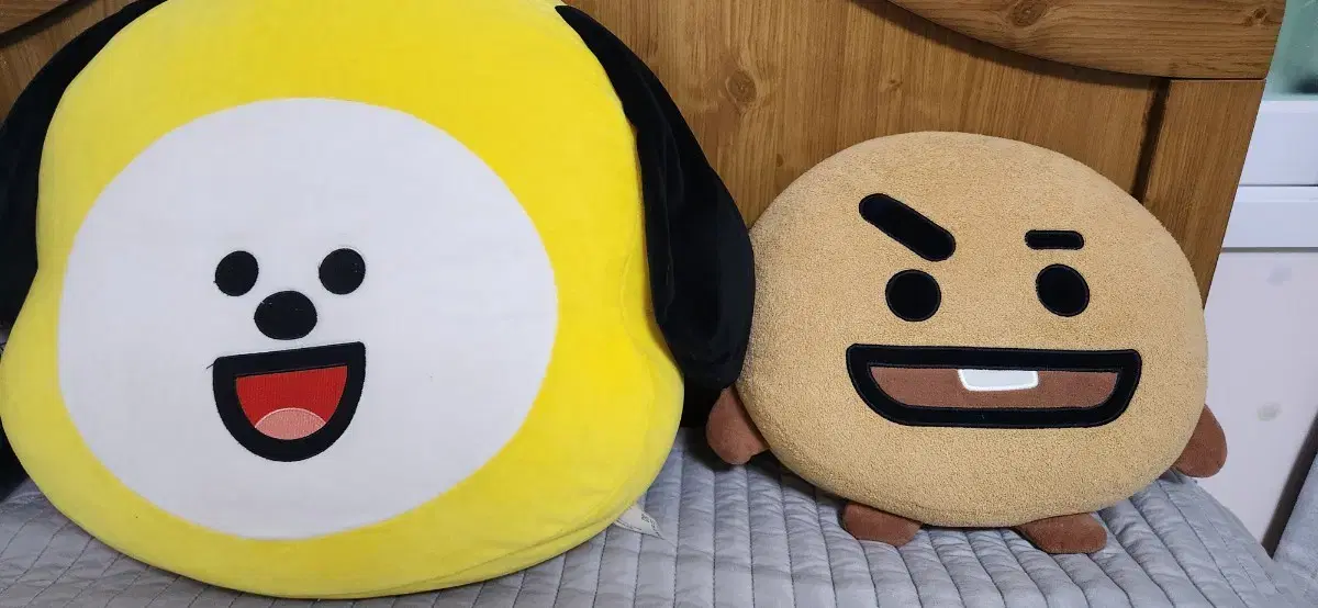 BT21 Chimishuki Cushion for arms