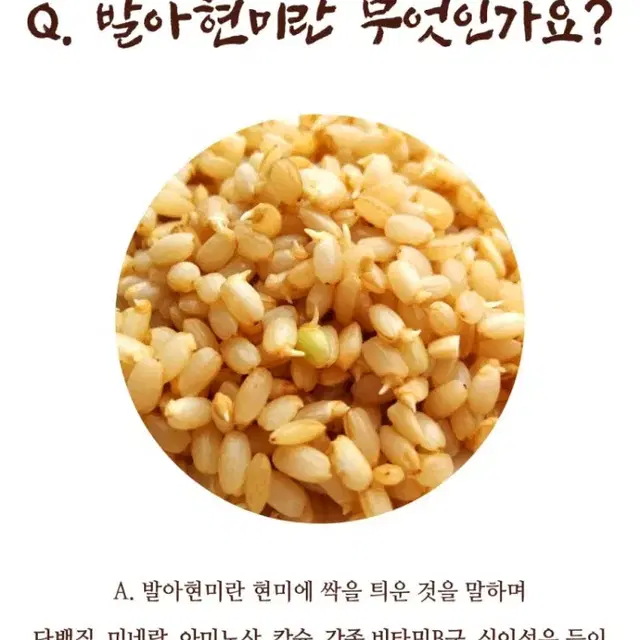 발아곡 1kg 3종(현미 / 찰현미 / 찰흑미)