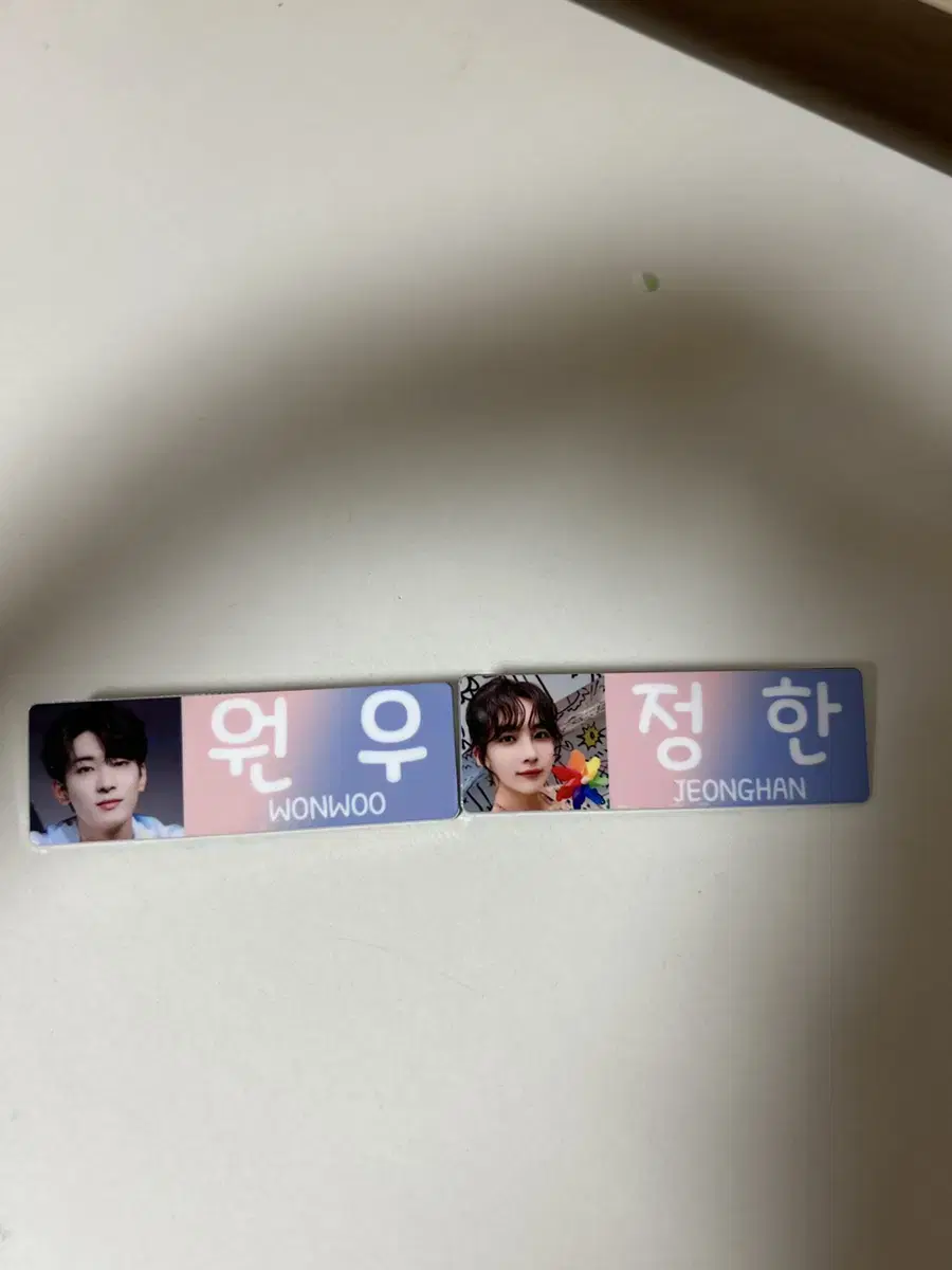 급처)seventeen jeonghan wonwoo Name badge wts