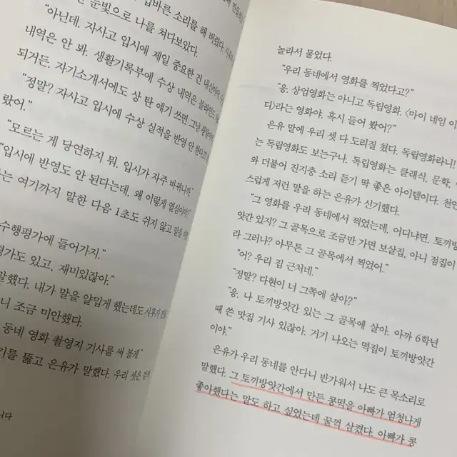 체리새우: 비밀글입니다 책